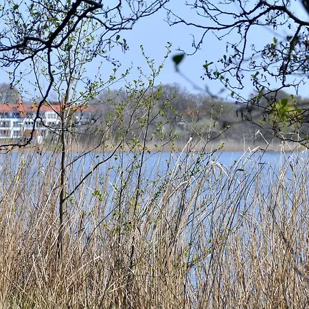 Bansin-ferienwohnung Seeblick Heringsdorf (Usedom)